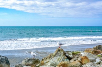 「知行國(guó)際」揭秘：澳洲移民入籍那些事兒，失敗都是有原因的